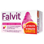 Falvit, 60 tablets + 10 free tablets Falvit, 60 tablets + 10 free tablets