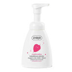 Ziaja Marshmallow set, suikerscrub, 300 ml + badreinigingsgelei, 260 ml + handcrème, 50 ml + reinigend schuim voor lichaam en handen, 250 ml Ziaja Marshmallow set, suikerscrub, 300 ml + badreinigingsgelei, 260 ml + handcrème, 50 ml + reinigend schuim voor lichaam en handen, 250 ml