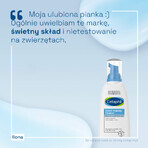 Cetaphil Mild Foaming Facial Cleanser, Normal, Dry & Combination Skin, 236ml