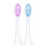 Vitammy Aurum Rose, sonic toothbrush, pink + box, 1 pc Vitammy Aurum Rose, sonic toothbrush, pink + box, 1 pc