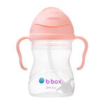 B.Box, bottle with straw, Gelato Tutti Frutti, from 6 months, 240 ml