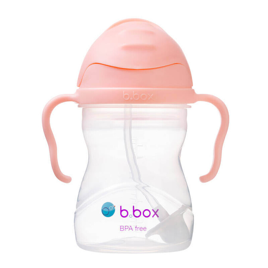 B.Box, bottle with straw, Gelato Tutti Frutti, from 6 months, 240 ml