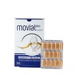 Movial Plus Fluidart, 28 capsules, ActaFarma Movial Plus Fluidart, 28 capsules, ActaFarma