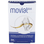 Movial Plus Fluidart, 28 capsules, ActaFarma Movial Plus Fluidart, 28 capsules, ActaFarma