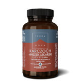 TerraNova Artichoke, dandelion, medicinal, L-cysteine, 100 vegetarian capsules