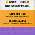 Honikan Tosse Junior, sciroppo per bambini da 3 anni, 230 g Honikan Tosse Junior, sciroppo per bambini da 3 anni, 230 g