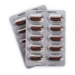 Omega 3-6-9, 30 + 15 capsules, Doppelherz Omega 3-6-9, 30 + 15 capsules, Doppelherz