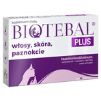 Biotebal Plus Hair Skin Nails, 30 tablets + 10 free tablets Biotebal Plus Hair Skin Nails, 30 tablets + 10 free tablets