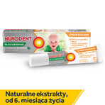 Nurodent, teething gel, 15 ml