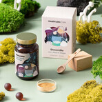 Health Labs ShroomMe Lion Lily & Chaga, 45.54g Health Labs ShroomMe Lion Lily & Chaga, 45.54g