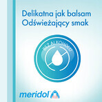Meridol Complete Care, mouthwash, alcohol-free, 400 ml Meridol Complete Care, mouthwash, alcohol-free, 400 ml