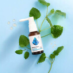 Aura Herbals Melatonin Control + Melissa extract, aerosol, 30 ml Aura Herbals Melatonin Control + Melissa extract, aerosol, 30 ml