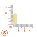 SEMA Lab Na Trawienie, 30 filmomhulde tabletten SEMA Lab Na Trawienie, 30 filmomhulde tabletten