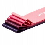 4Fizjo Mini Band Exercise Resistance Bands Set, Shades of Pink, 5 Pieces