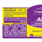 Blueberry Herbagetica x 60 Blueberry Herbagetica x 60