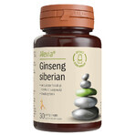 Siberian ginseng, 30 vegetable capsules, Alevia Siberian ginseng, 30 vegetable capsules, Alevia