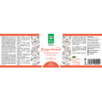 Progestonate, 90 capsules, Divine Star Progestonate, 90 capsules, Divine Star