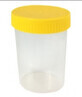 Contenitore monouso per urine, sterile, 1 pezzo - Lunga durata!