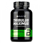 Tribulus Maximus 1500 mg, 90 tablets, Biotech USA Tribulus Maximus 1500 mg, 90 tablets, Biotech USA