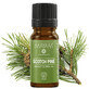 Wild Pine essential oil Bio M-1160, 10 ml, Mayam