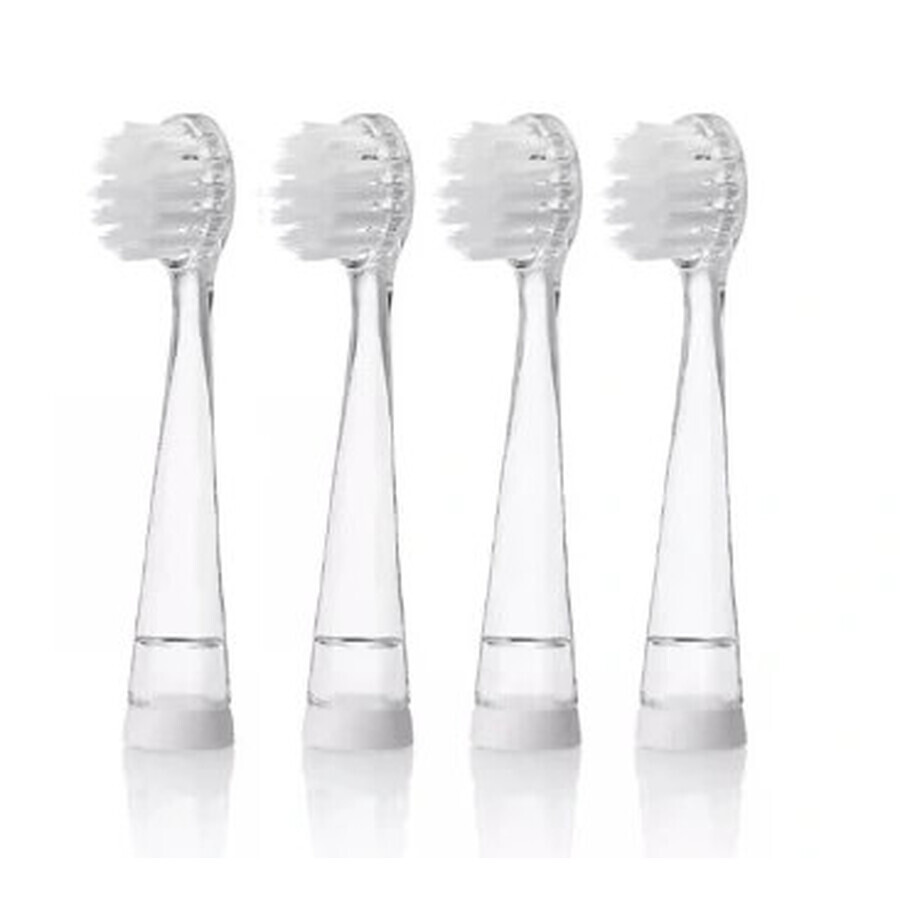 Brush-Baby Replacement pads for Wildones sonic toothbrush, 4 pieces
