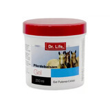 Dr Life Horse Power Gel 250ml