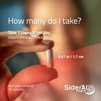 Sideral FORTE, 30 capsules, Zentiva Sideral FORTE, 30 capsules, Zentiva