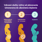 Femibion 2 Pregnancy, 28 tablets and 28 capsules Femibion 2 Pregnancy, 28 tablets and 28 capsules