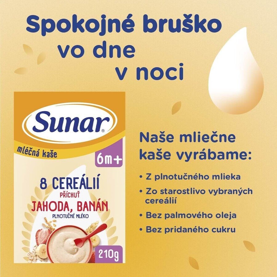 Sunar Brei mit 8 Getreidesorten Erdbeeren, Banane 210 g