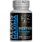 Alavis Maxima Bestier Tribulus 60 capsule Alavis Maxima Bestier Tribulus 60 capsule
