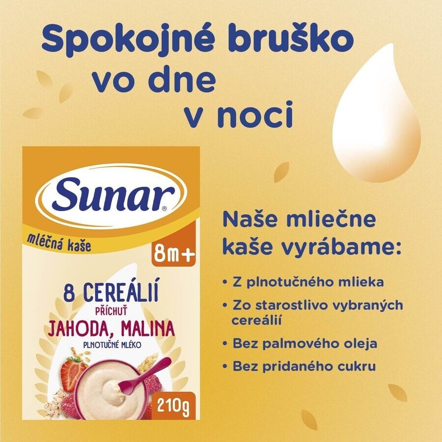 Sunar Brei mit 8 Getreidesorten Erdbeeren, Himbeeren 210 g