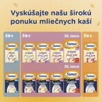 Sunar Brei mit 8 Getreidesorten Erdbeeren, Himbeeren 210 g Sunar Brei mit 8 Getreidesorten Erdbeeren, Himbeeren 210 g
