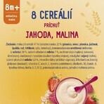 Sunar Brei mit 8 Getreidesorten Erdbeeren, Himbeeren 210 g Sunar Brei mit 8 Getreidesorten Erdbeeren, Himbeeren 210 g