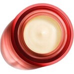 Vichy LIFTACTIV B3 Night Tinting Cream with pure retinol for cell renewal of hyperpigmented skin 50 ml Vichy LIFTACTIV B3 Night Tinting Cream with pure retinol for cell renewal of hyperpigmented skin 50 ml