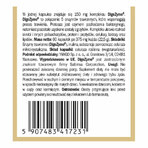 Digestive Enzyme Digezyme 60 capsules, Yango Digestive Enzyme Digezyme 60 capsules, Yango