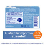 MagneVie Stress Resist con Ashwaghanda 80 mg + 60 mg di magnesio + 1,4 mg di vitamina B6, sistema nervoso e resistenza allo stress, 30 compresse MagneVie Stress Resist con Ashwaghanda 80 mg + 60 mg di magnesio + 1,4 mg di vitamina B6, sistema nervoso e resistenza allo stress, 30 compresse