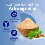 MagneVie Stress Resist con Ashwaghanda 80 mg + 60 mg di magnesio + 1,4 mg di vitamina B6, sistema nervoso e resistenza allo stress, 30 compresse MagneVie Stress Resist con Ashwaghanda 80 mg + 60 mg di magnesio + 1,4 mg di vitamina B6, sistema nervoso e resistenza allo stress, 30 compresse