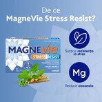 MagneVie Stress Resist con Ashwaghanda 80 mg + 60 mg di magnesio + 1,4 mg di vitamina B6, sistema nervoso e resistenza allo stress, 30 compresse MagneVie Stress Resist con Ashwaghanda 80 mg + 60 mg di magnesio + 1,4 mg di vitamina B6, sistema nervoso e resistenza allo stress, 30 compresse