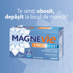 MagneVie Stress Resist con Ashwaghanda 80 mg + 60 mg di magnesio + 1,4 mg di vitamina B6, sistema nervoso e resistenza allo stress, 30 compresse MagneVie Stress Resist con Ashwaghanda 80 mg + 60 mg di magnesio + 1,4 mg di vitamina B6, sistema nervoso e resistenza allo stress, 30 compresse