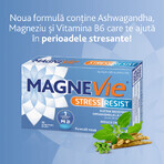 MagneVie Stress Resist con Ashwaghanda 80 mg + 60 mg di magnesio + 1,4 mg di vitamina B6, sistema nervoso e resistenza allo stress, 30 compresse MagneVie Stress Resist con Ashwaghanda 80 mg + 60 mg di magnesio + 1,4 mg di vitamina B6, sistema nervoso e resistenza allo stress, 30 compresse