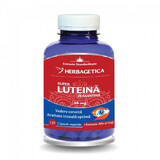 Super Lutein Zeaxanthin, 120 vegetarian capsules, Herbagetica