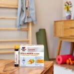 Kollagen 11000 Plus Turmeric + Ginger, 30 vials, Doppelherz Kollagen 11000 Plus Turmeric + Ginger, 30 vials, Doppelherz