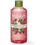 Yves Rocher Gel de Ducha Frambuesa y Menta 1×400 ml, gel de ducha Yves Rocher Gel de Ducha Frambuesa y Menta 1×400 ml, gel de ducha