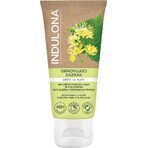 INDULONA hand cream SPRAY RESTAURANT 50 ml 1×50 ml, hand cream