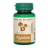 Agaricus Natural Cell Protection, 60 cpr, Dacia Plant