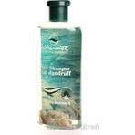 KAWAR ANTI-DANDRUFF SHAMPOO 1×400 ml, removes dandruff KAWAR ANTI-DANDRUFF SHAMPOO 1×400 ml, removes dandruff