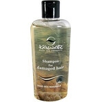 KAWAR ANTI-DANDRUFF SHAMPOO 1×400 ml, removes dandruff KAWAR ANTI-DANDRUFF SHAMPOO 1×400 ml, removes dandruff