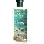 KAWAR ANTI-DANDRUFF SHAMPOO 1×400 ml, removes dandruff KAWAR ANTI-DANDRUFF SHAMPOO 1×400 ml, removes dandruff