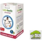 SWISS Lactobacilli JUNIOR Immunit + vitamin D3 60+12 tbl.+ gift 1×72 tbl, vitamins SWISS Lactobacilli JUNIOR Immunit + vitamin D3 60+12 tbl.+ gift 1×72 tbl, vitamins
