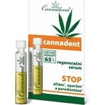 Cannaderm CANNADENT regenerating serum 10×1,5 ml for canker sores and cold sores Cannaderm CANNADENT regenerating serum 10×1,5 ml for canker sores and cold sores